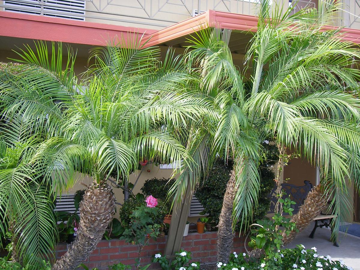 Fullerton Lodge Dış mekan fotoğraf